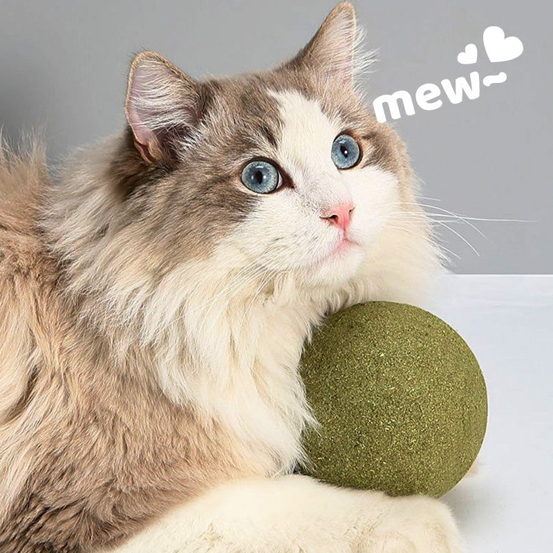 Giant Catnip Ball | Spraw, by Twój kot ją pokochał!