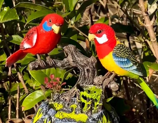 Електрическо управление на гласови папагали на батерии🦜