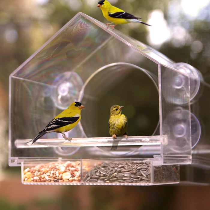 🐦👍👍👍Прозоречна хранилка за птици🤩